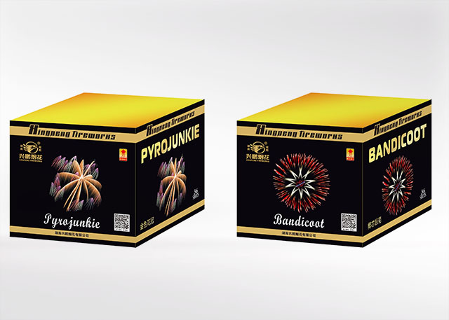 36发金色花冠椰芯银菊